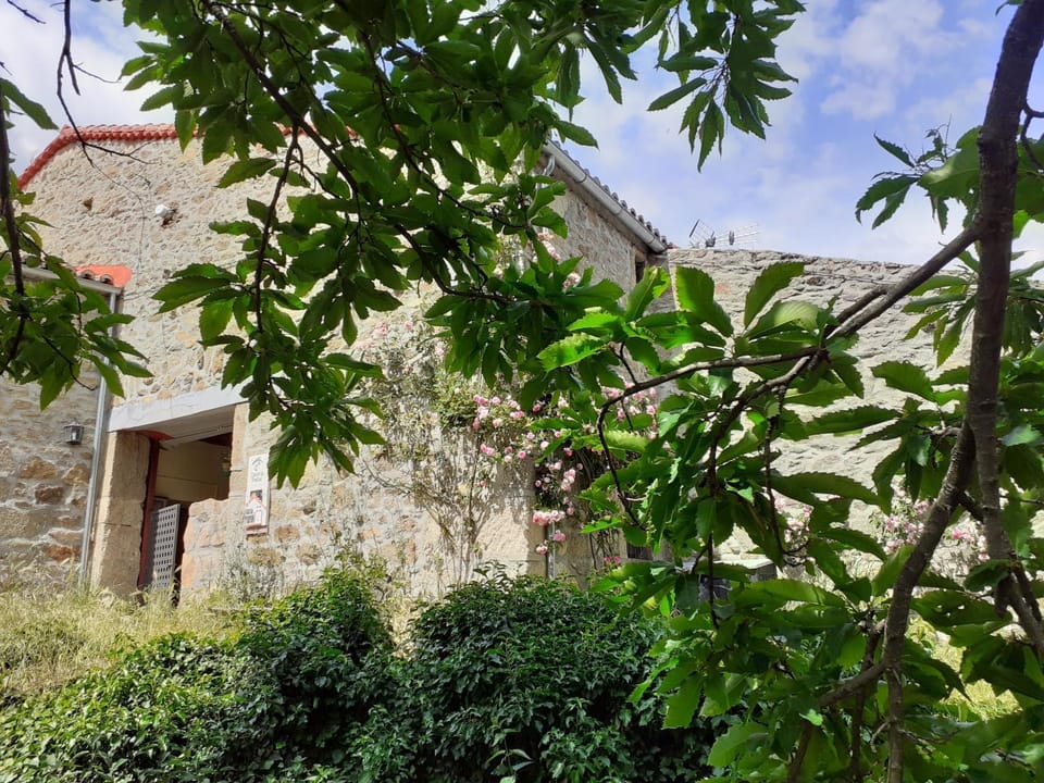 Property building, Spring