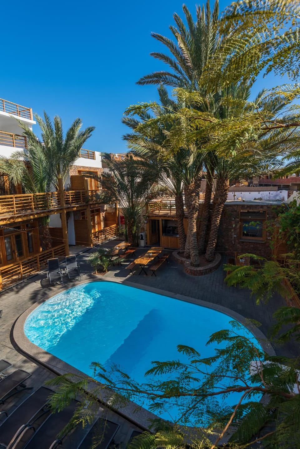 Day, Garden, Garden view, Pool view, Swimming pool, sunbed