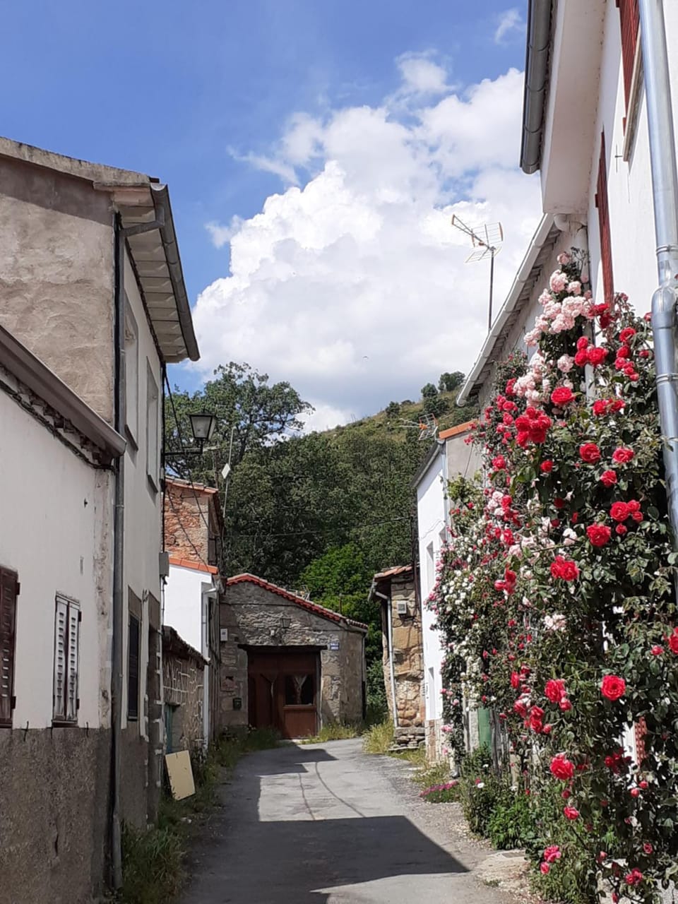 Property building, Street view, Quiet street view