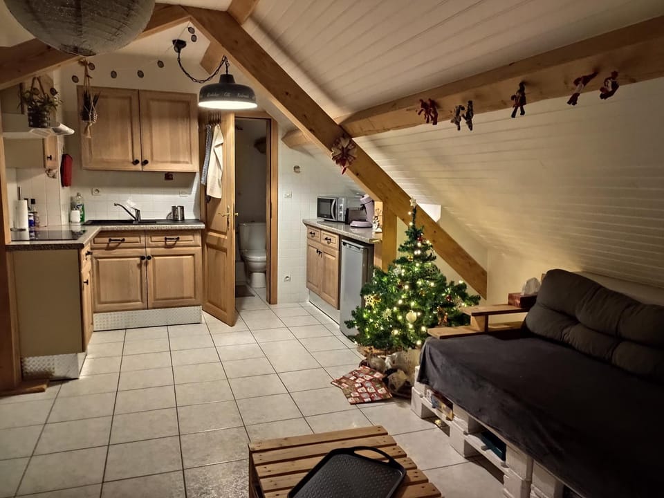 Appartement douillet avec vue sur les montagnes Apartment in Grand Est