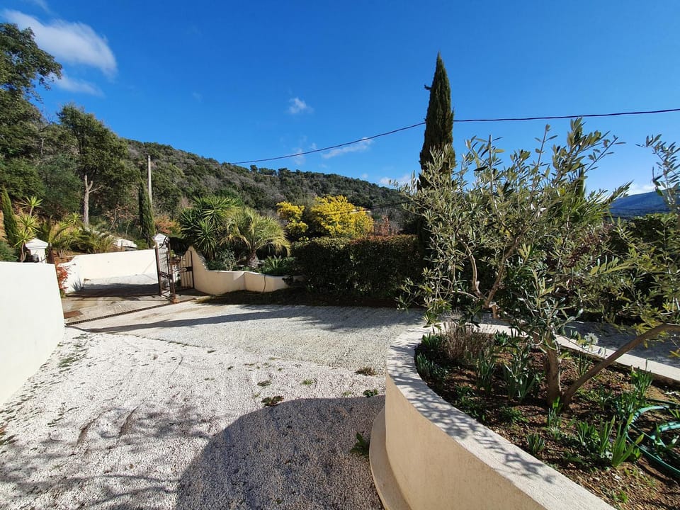 Garden, View (from property/room)
