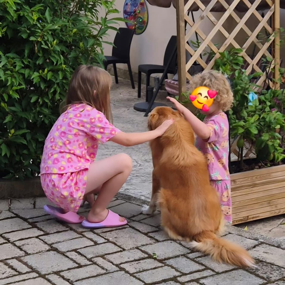 Day, Pets, children, group of guests