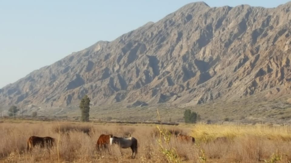Sol de las Sierras Zonda House in San Juan Province, Argentina