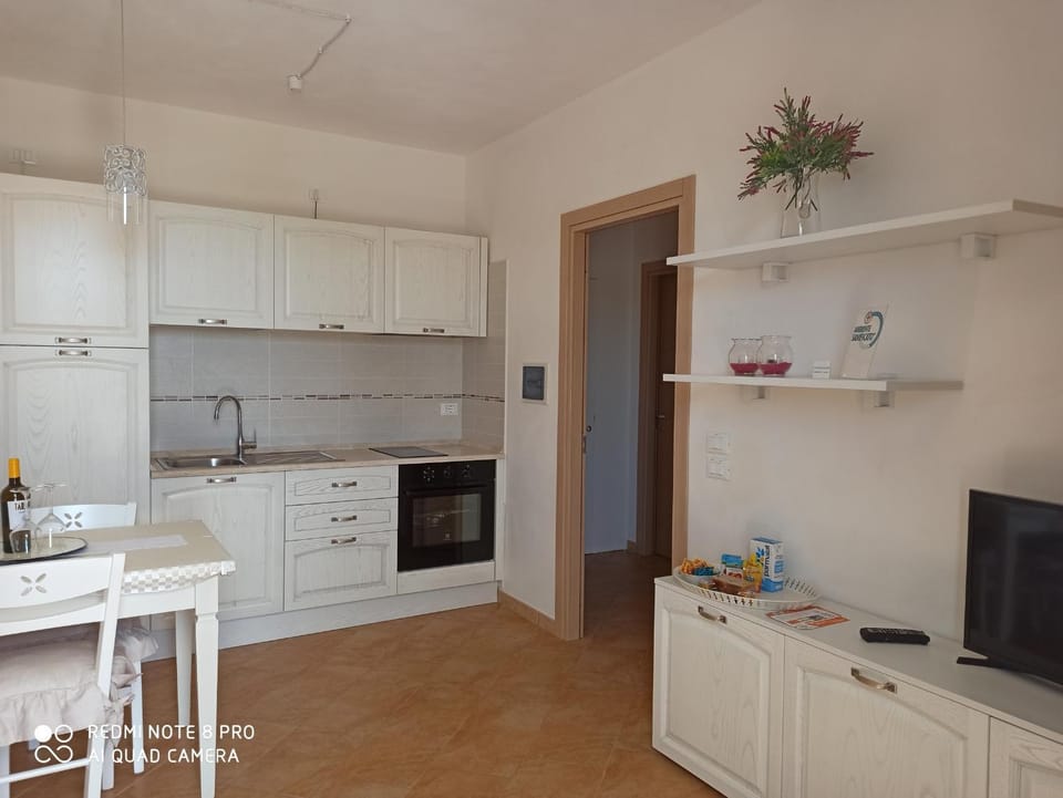 TV and multimedia, Kitchen or kitchenette, Living room, Photo of the whole room, oven, stove