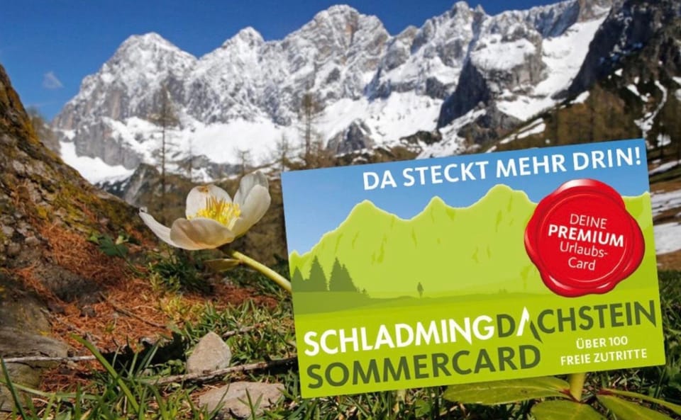 Logo/Certificate/Sign