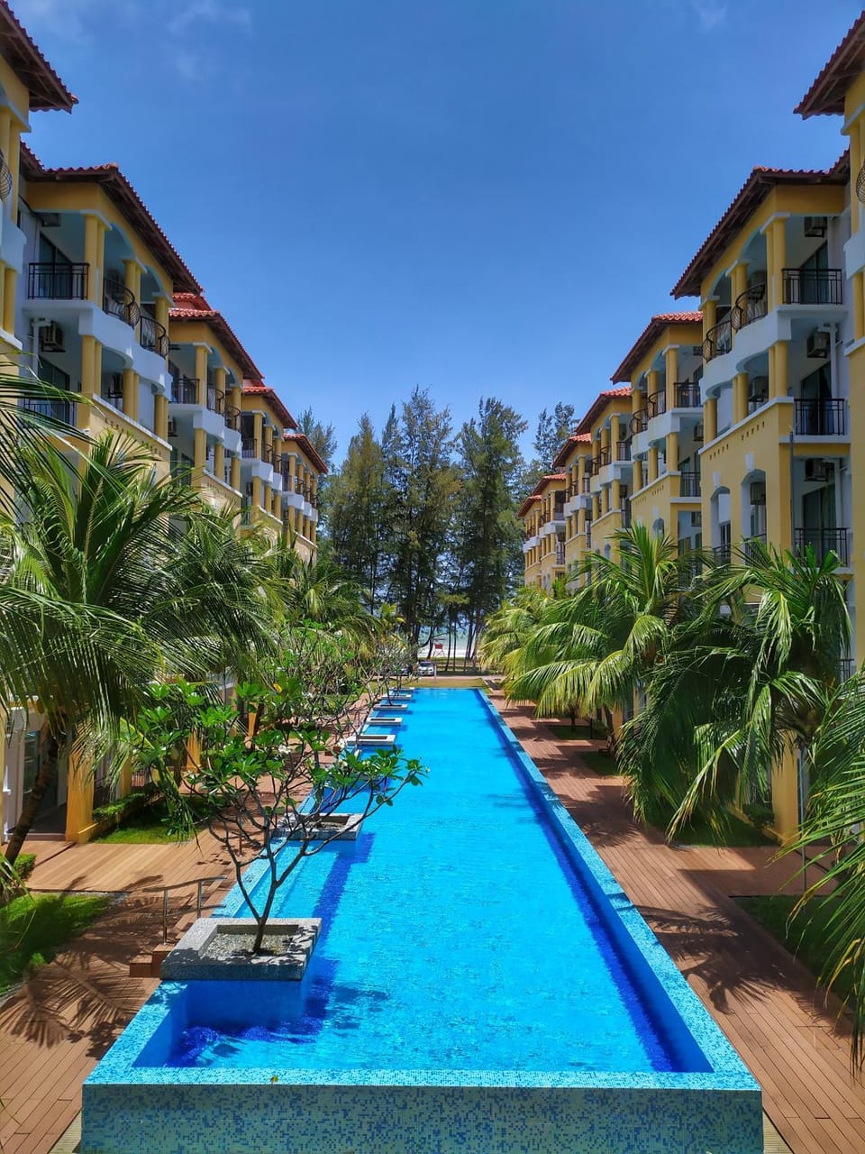 Area and facilities, Swimming pool