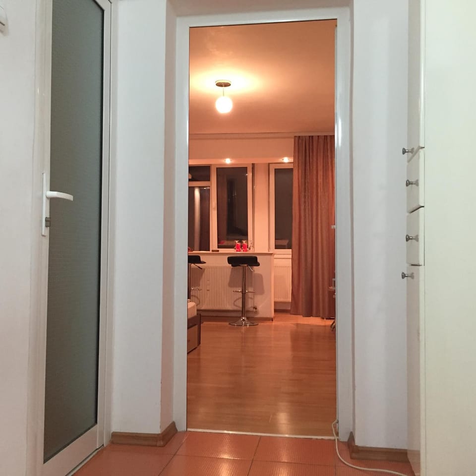 Alina Accommodation Apartment in Romania