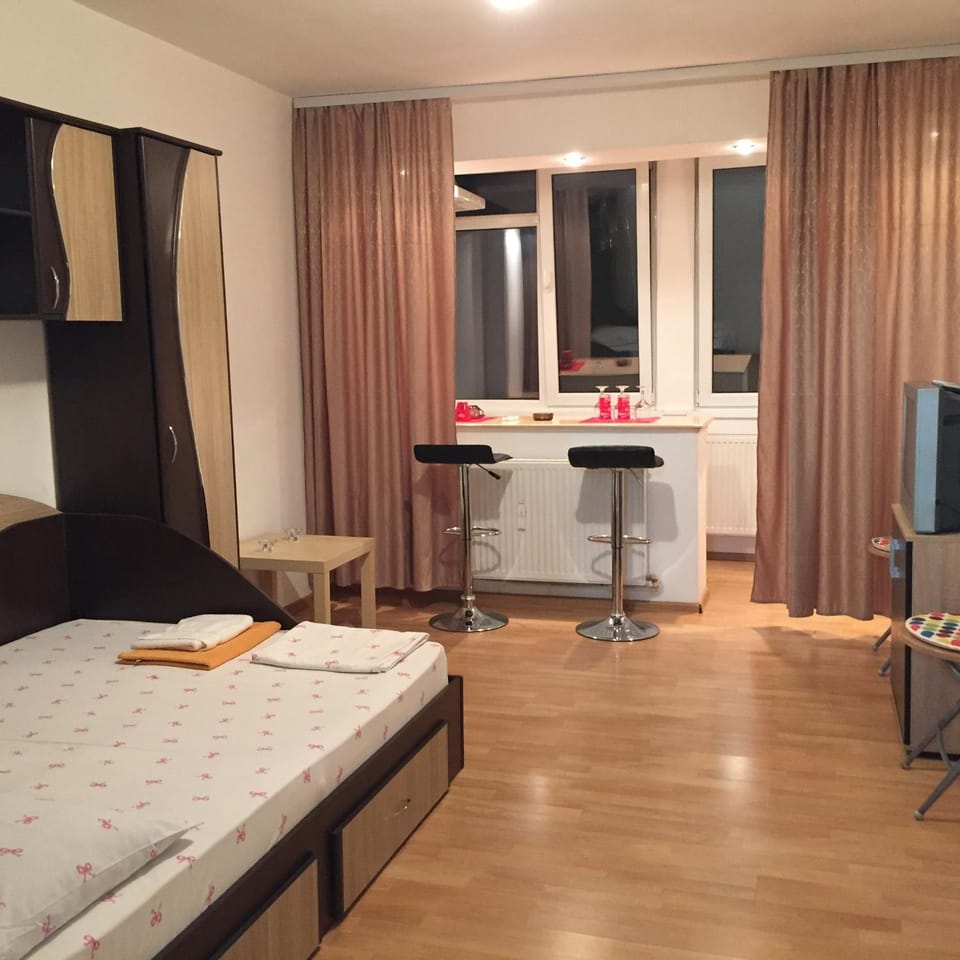 Alina Accommodation Apartment in Romania