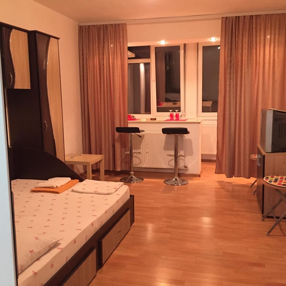 Alina Accommodation Apartment in Romania
