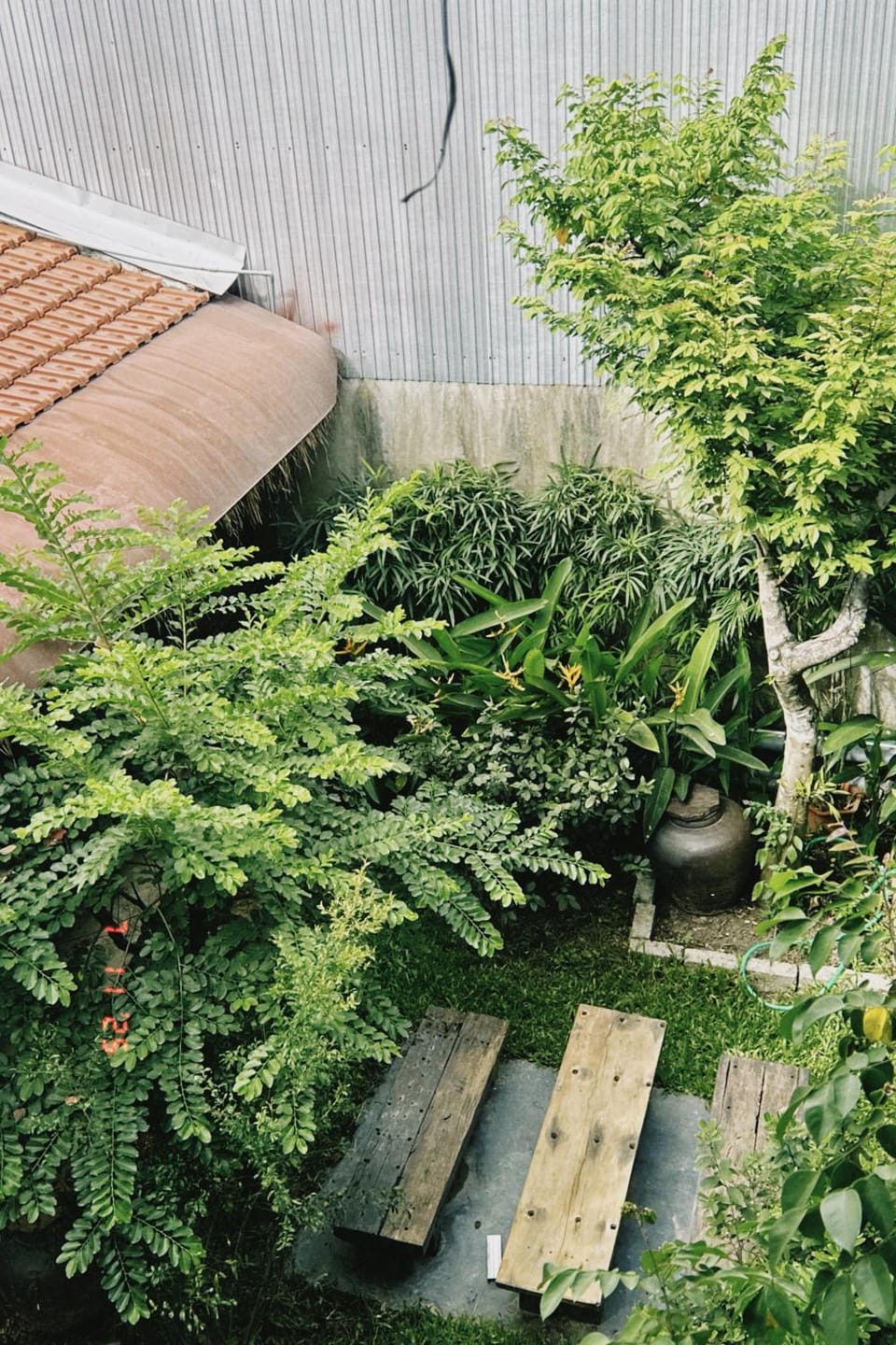 Cat Homestay Apartment hotel in Laos
