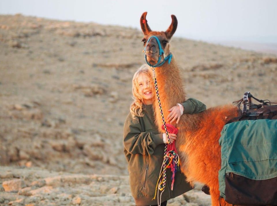 People, Activities, Animals