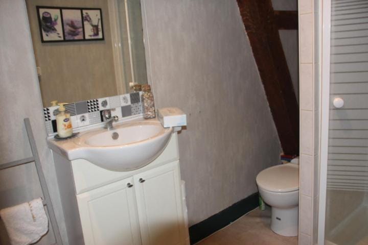 Suite dans les dépendances du Château Apartment in Auvergne-Rhône-Alpes