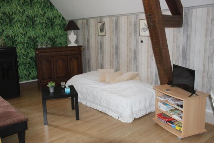 Suite dans les dépendances du Château Apartment in Auvergne-Rhône-Alpes