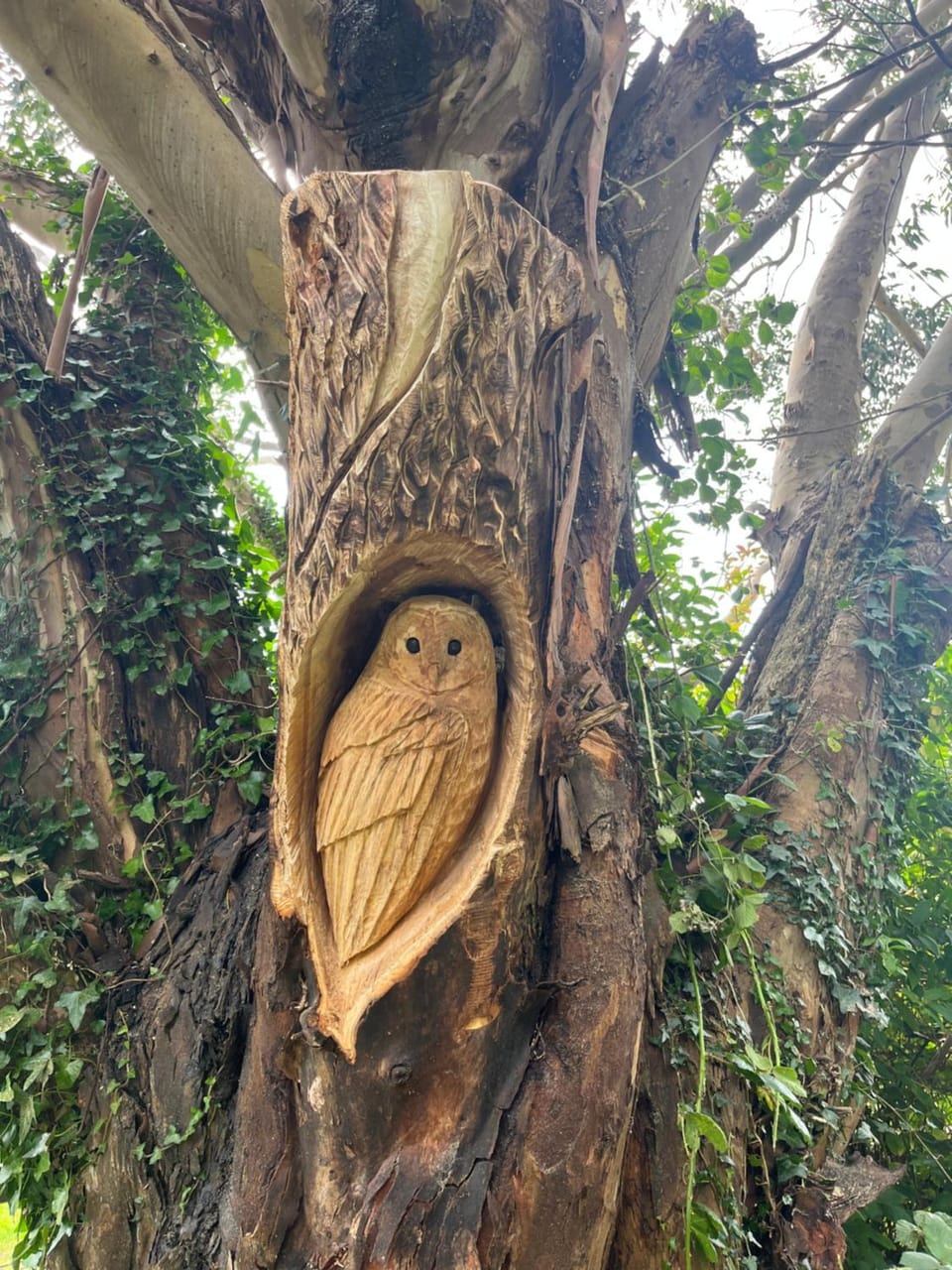 Next door at Broomfield House House in County Cork