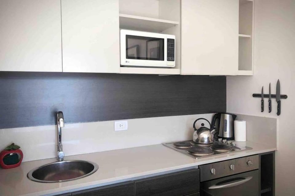 Palermo Soho Big Studio Apartment in Buenos Aires