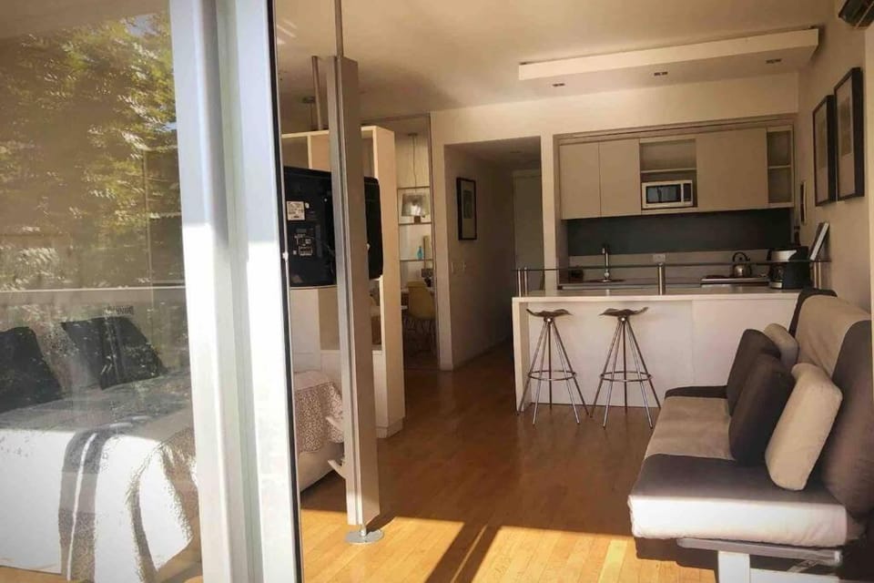 Palermo Soho Big Studio Apartment in Buenos Aires