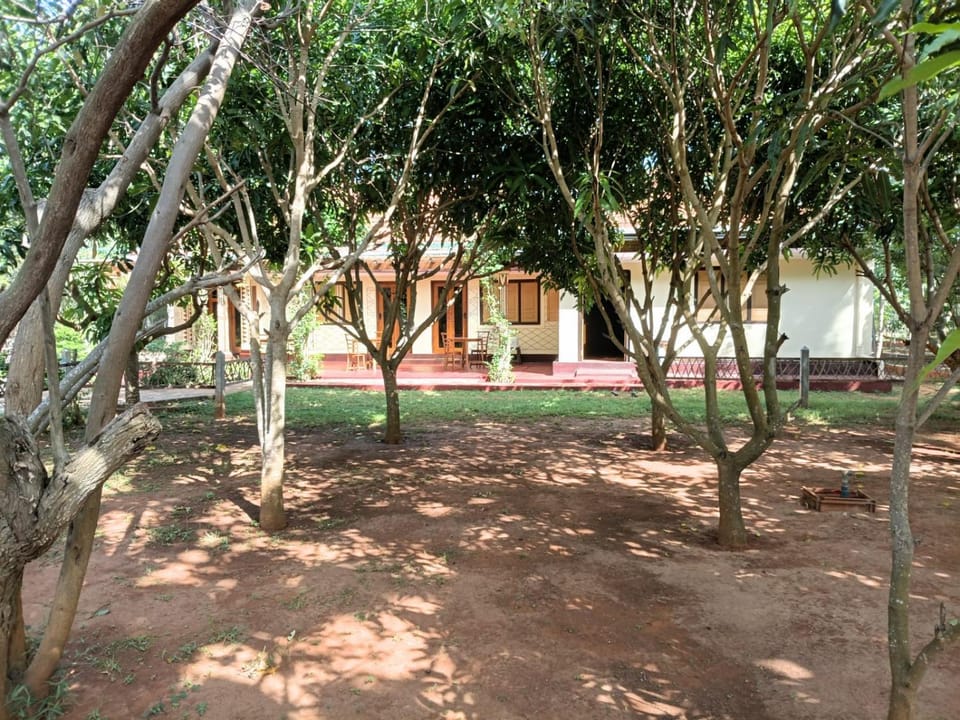 Property building, Natural landscape
