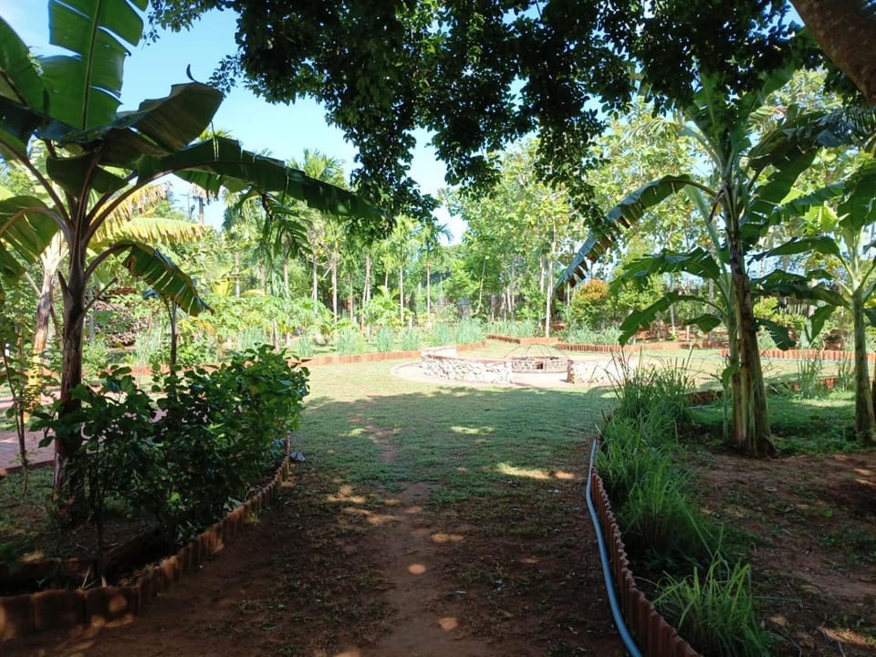 Natural landscape, Garden, Garden view