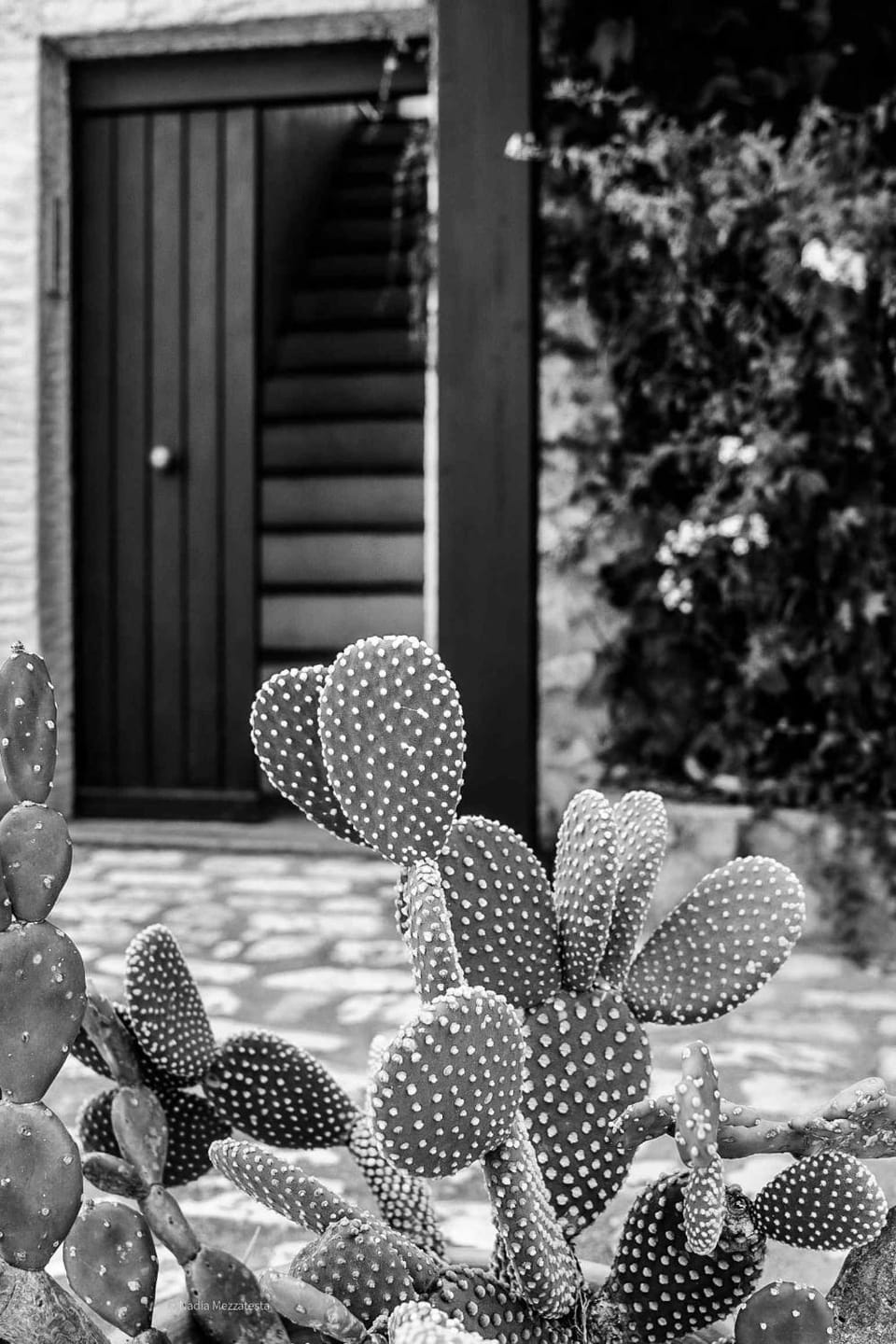 Il Casale il Sole e la Margherita Farm Stay in Sicily