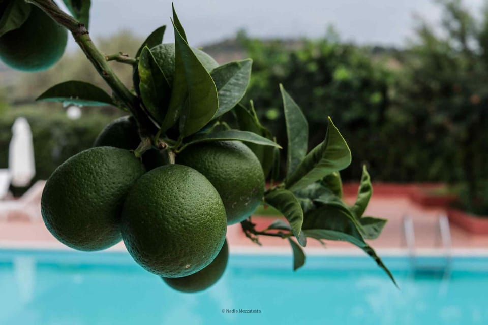 Il Casale il Sole e la Margherita Farm Stay in Sicily