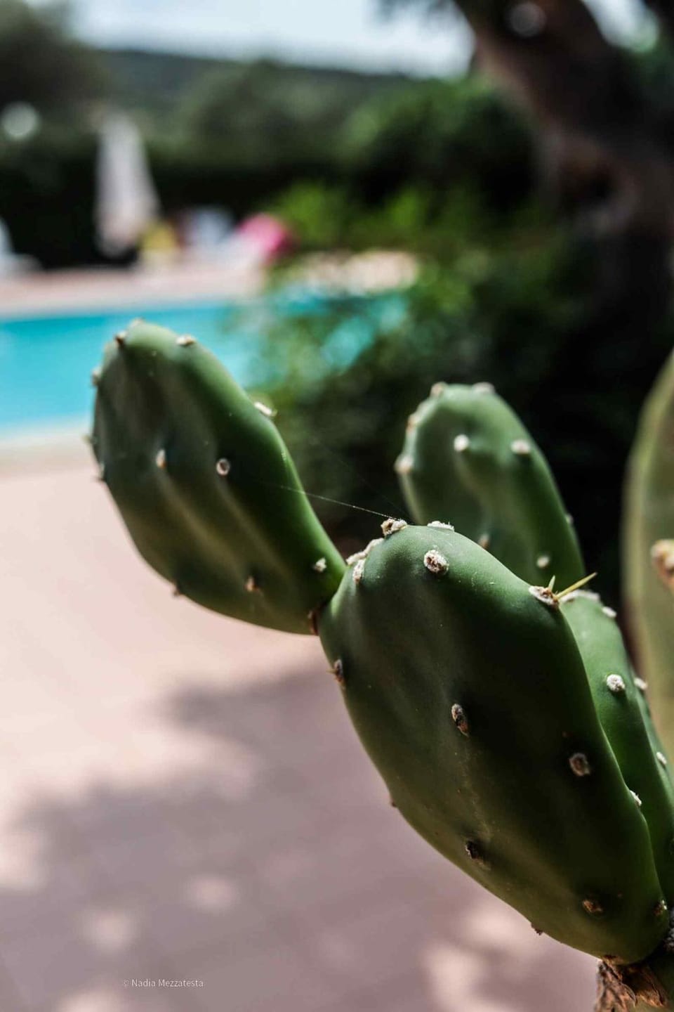 Il Casale il Sole e la Margherita Farm Stay in Sicily