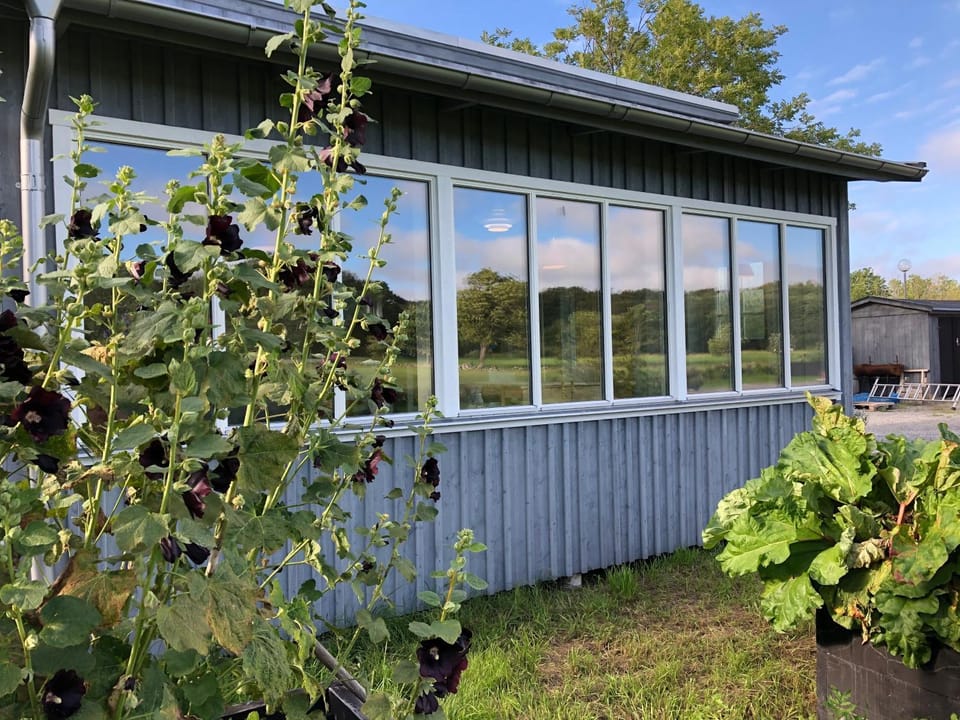 Mysig nybyggd stuga nära hav och natur House in Västra Götaland County