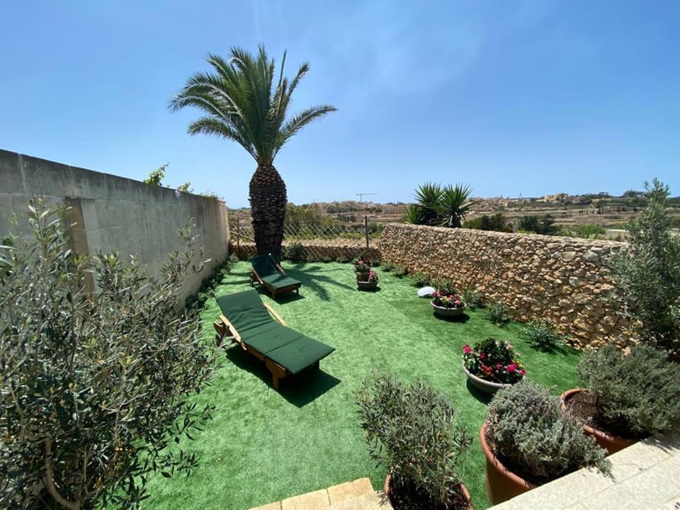 Garden view