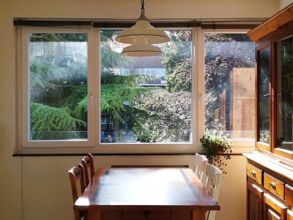 Spring, Garden, Dining area, Garden view