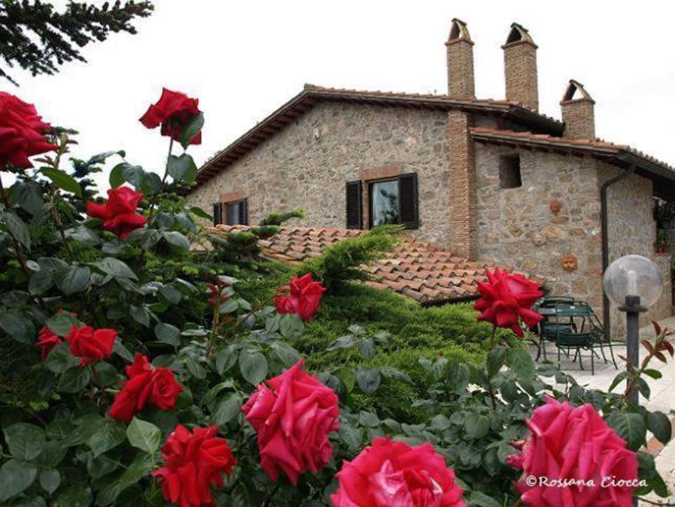 Property building, Garden