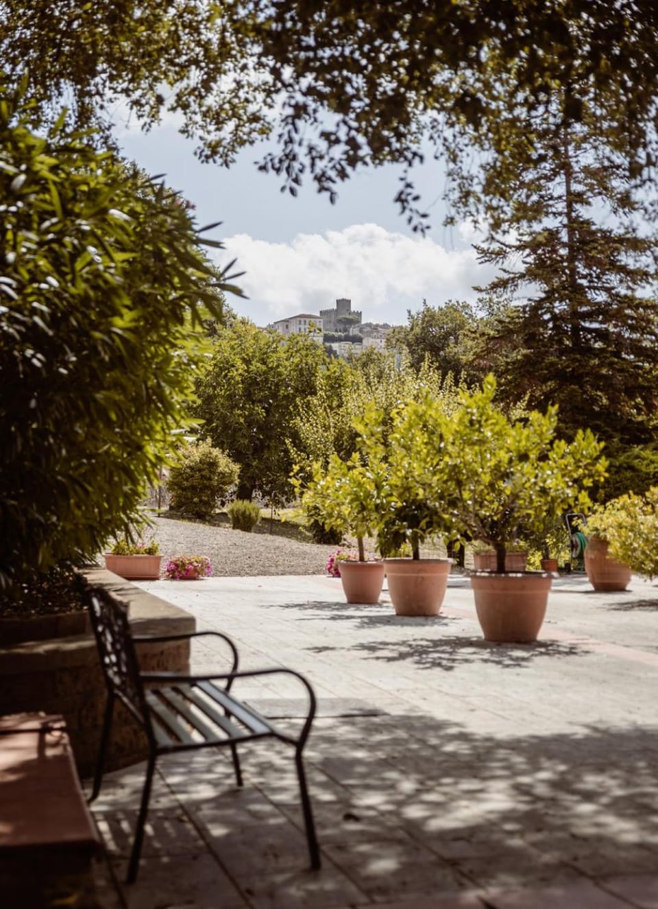Patio, Garden, City view
