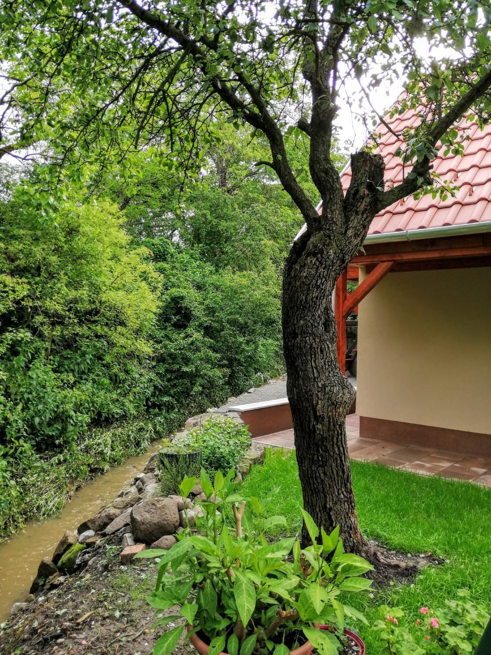 Property building, Garden