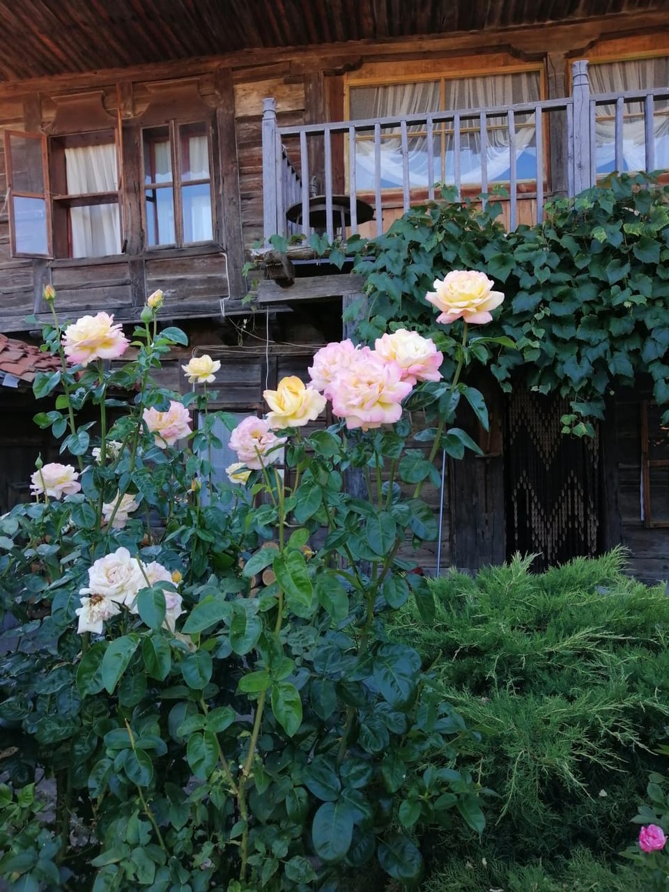 Къщата на художника Bed and Breakfast in Bulgaria