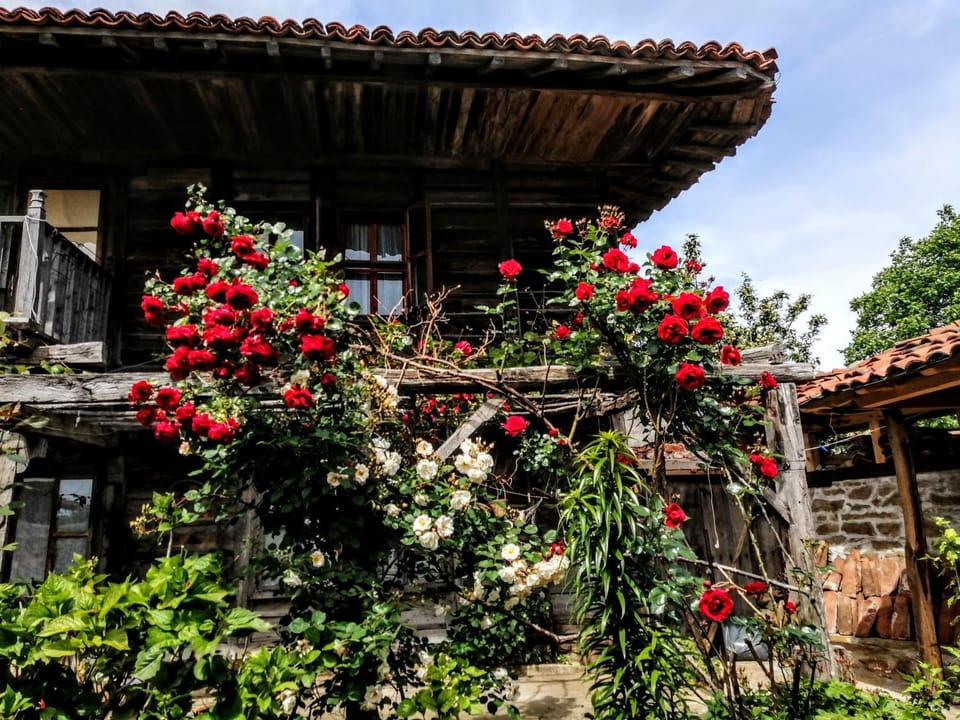 Къщата на художника Bed and Breakfast in Bulgaria