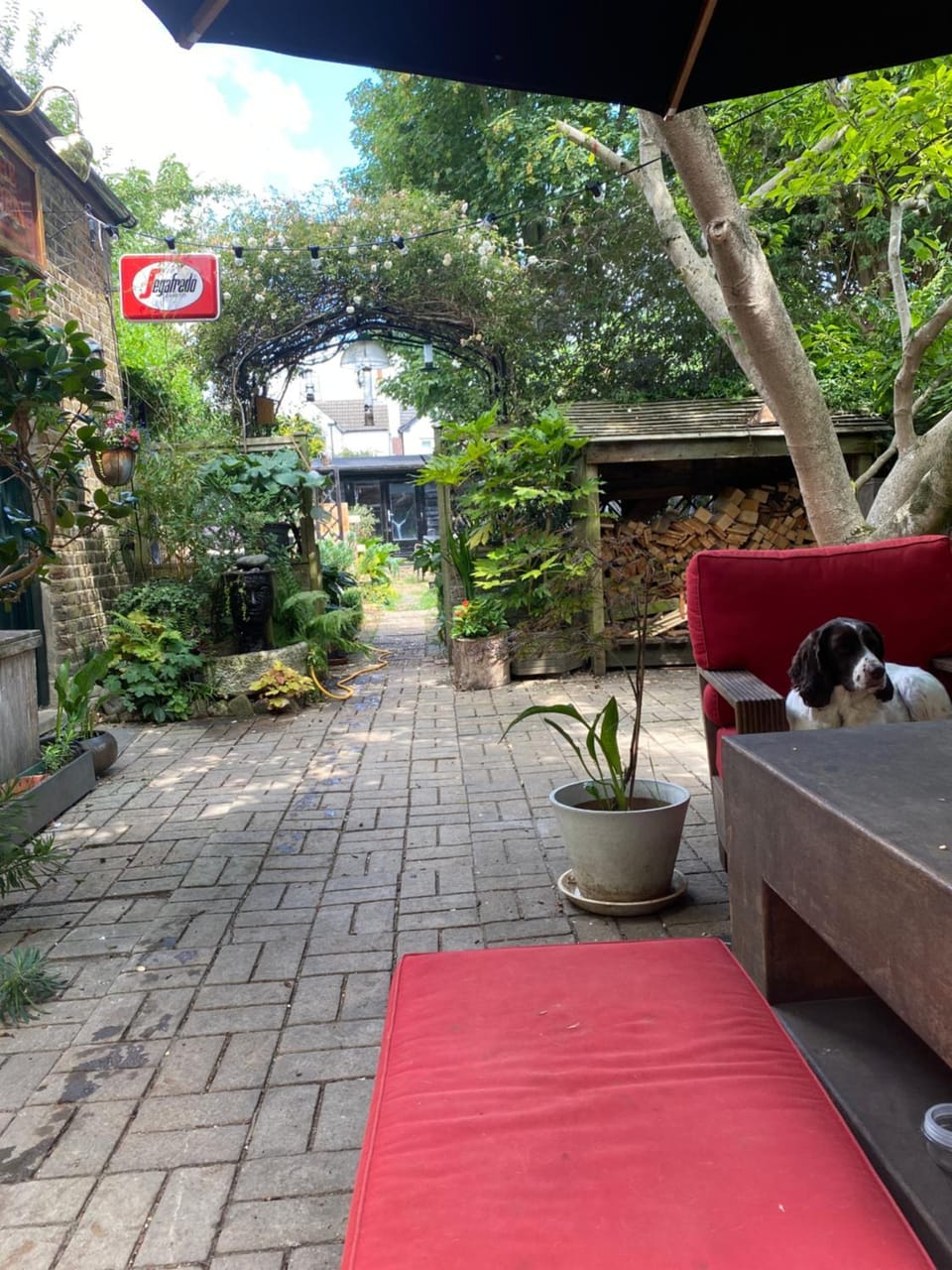 Garden view