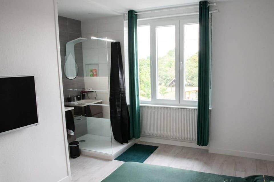 Le natural'appart des 3 frontières Apartment in Saint-Louis