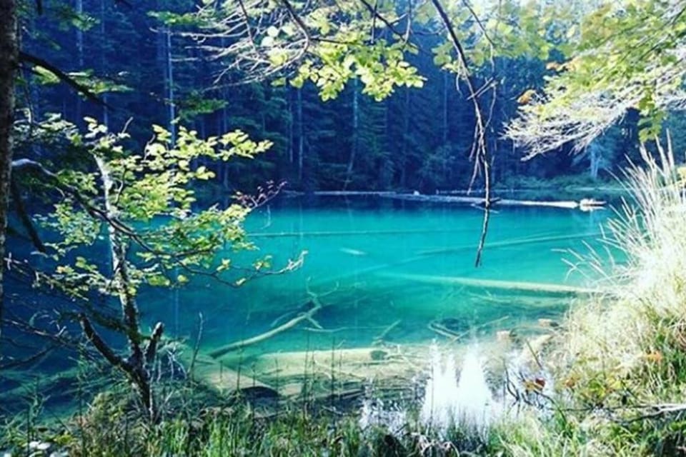 Gemütliches Ferienhaus am Waldrand House in Friuli-Venezia Giulia