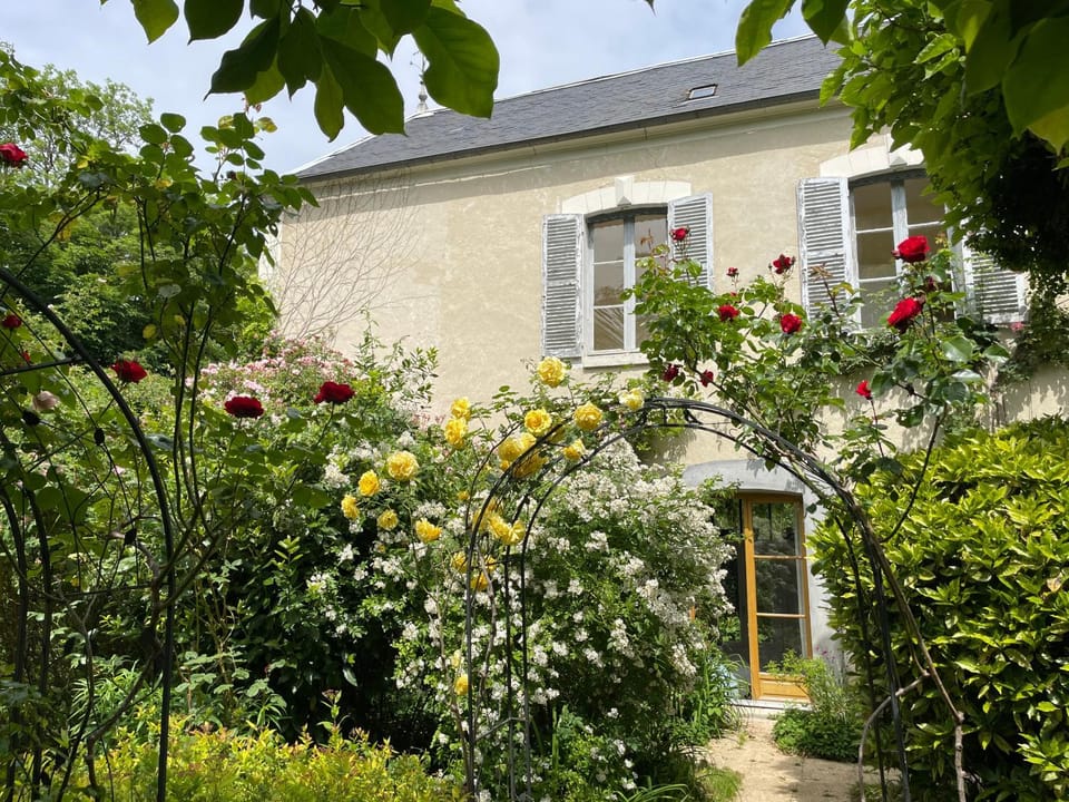 Property building, Garden view