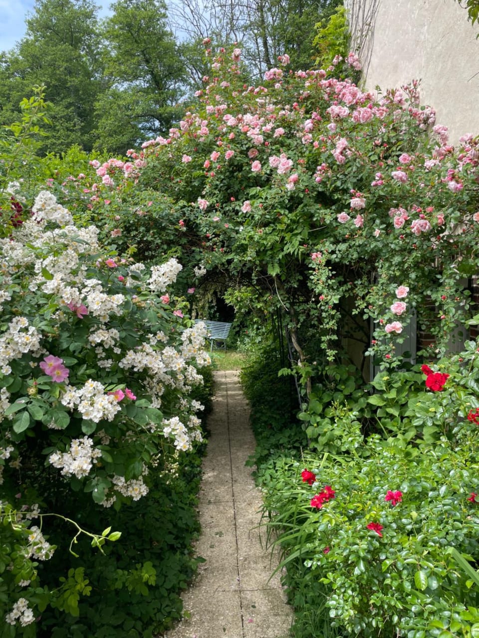 Garden view