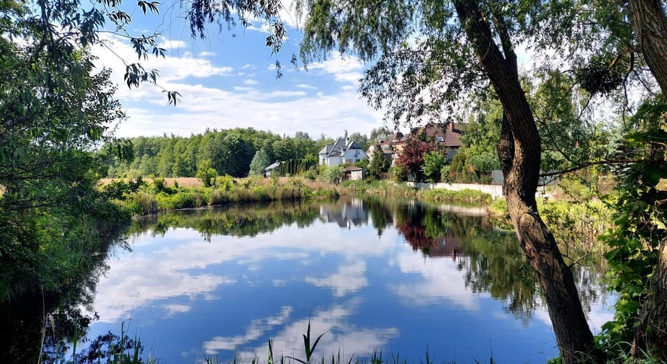 Коттеджне містечко під лісом Динамо Конча-Заспа Fabius Bed and Breakfast in Kiev City - Kyiv