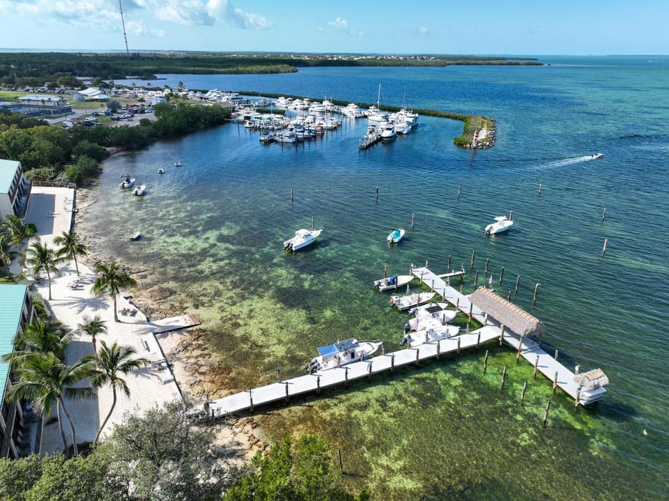 Nearby landmark, Day, Natural landscape, Bird's eye view, View (from property/room), Beach