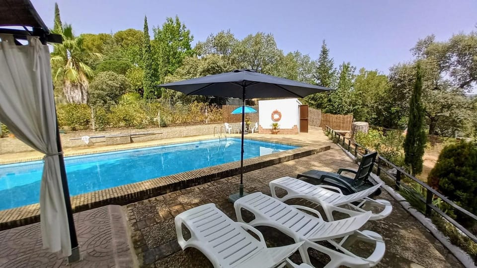 Pool view, Swimming pool, sunbed