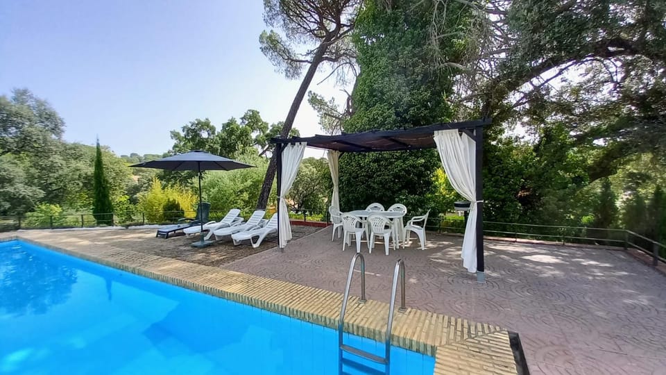 Swimming pool, sunbed