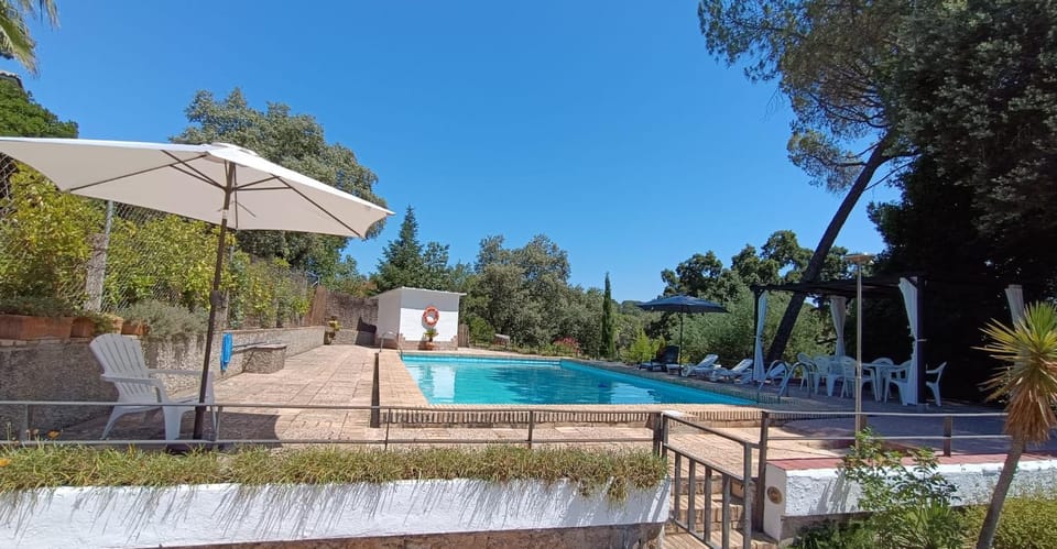 Pool view, Swimming pool, sunbed
