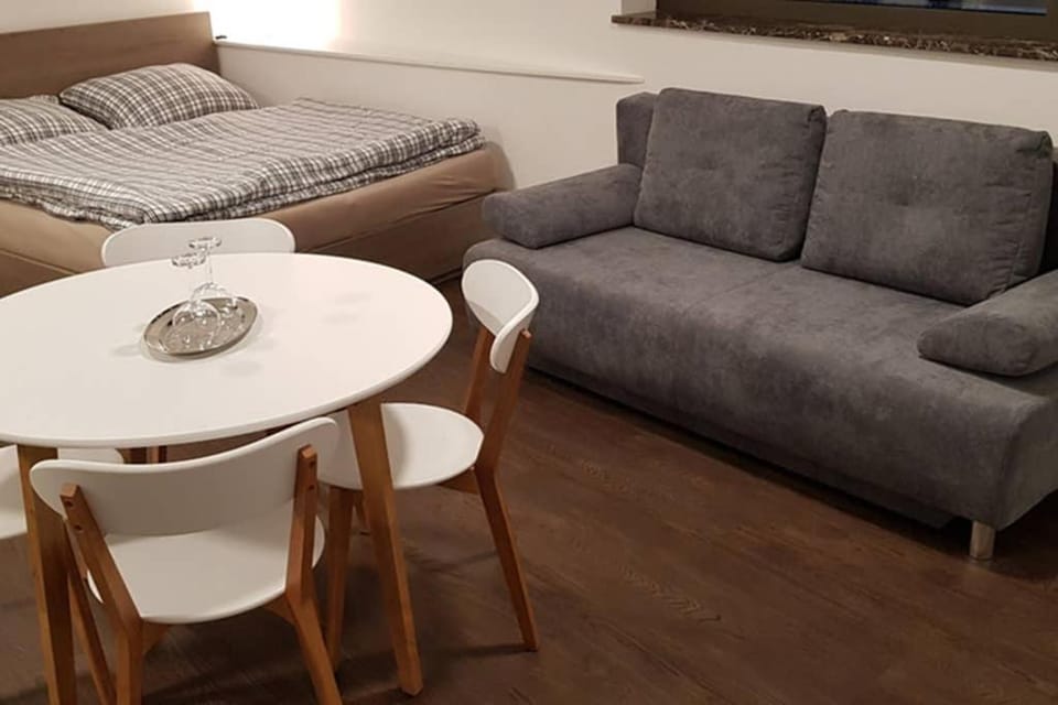 Suite with back garden Apartment in Saxony