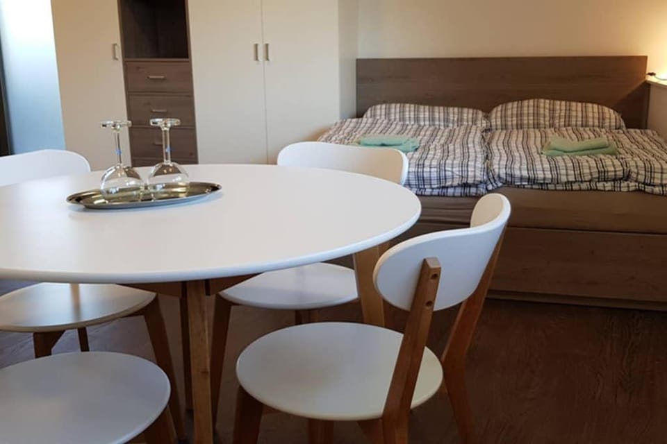 Suite with back garden Apartment in Saxony