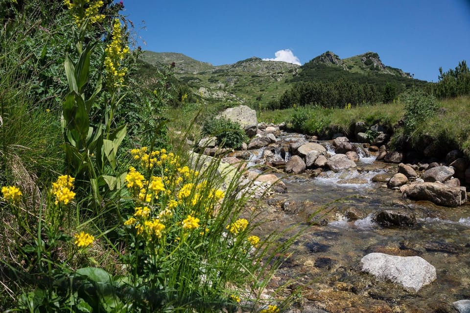 Mountain view