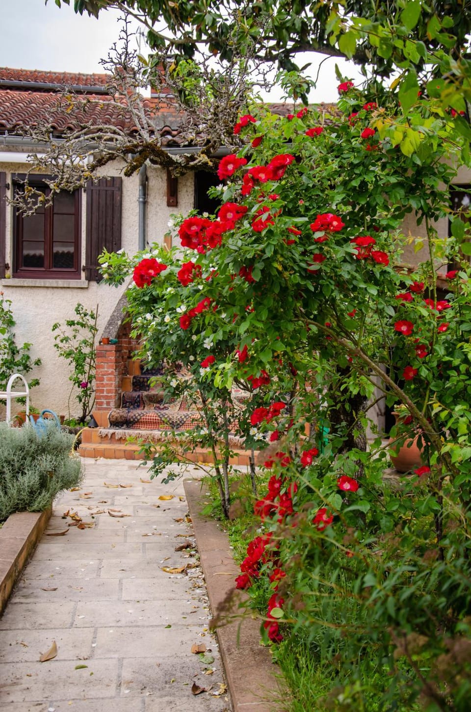 Property building, Patio, BBQ facilities, Garden, Balcony/Terrace, Swimming pool