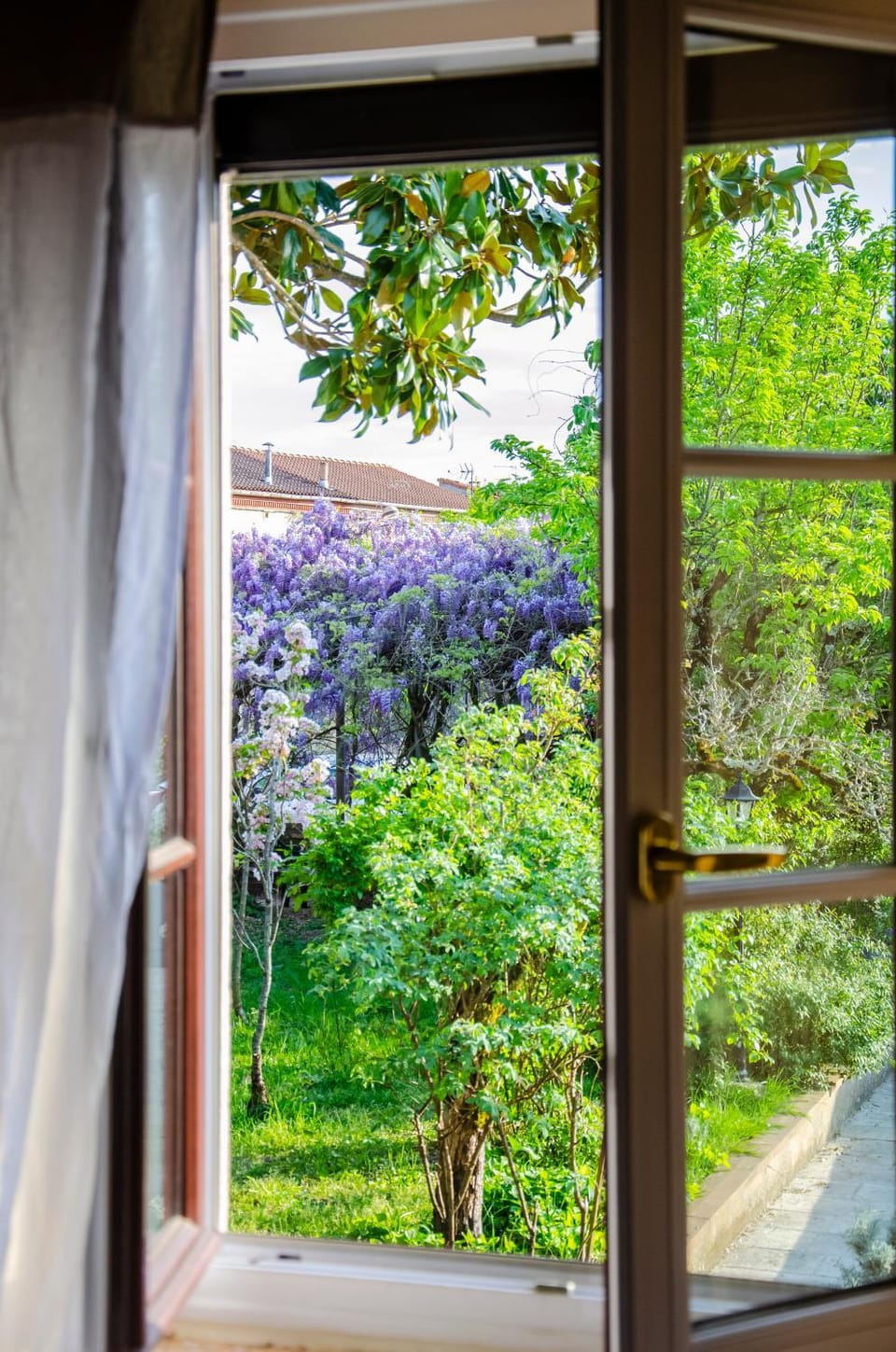 Property building, Garden view, Pool view