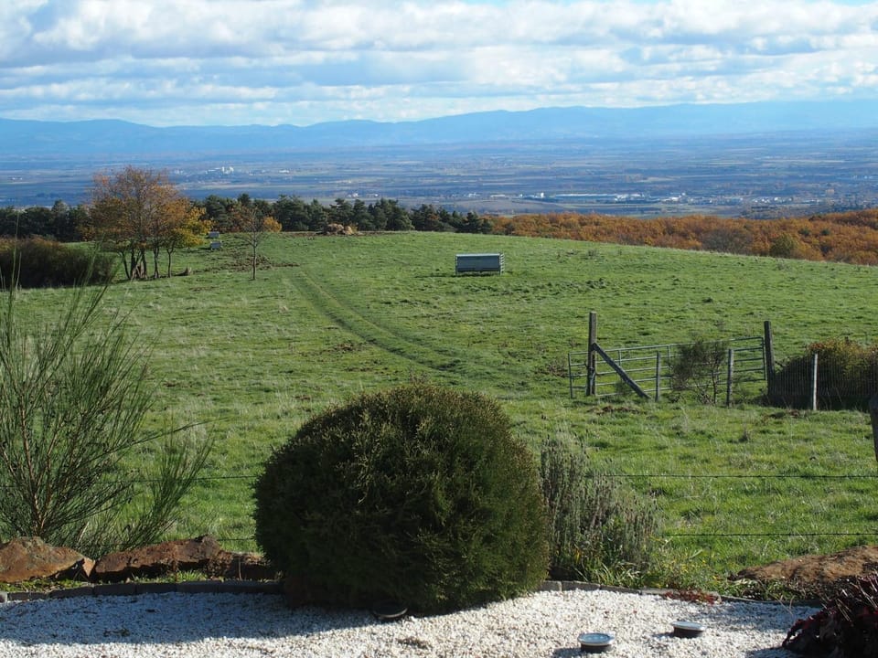 View (from property/room)