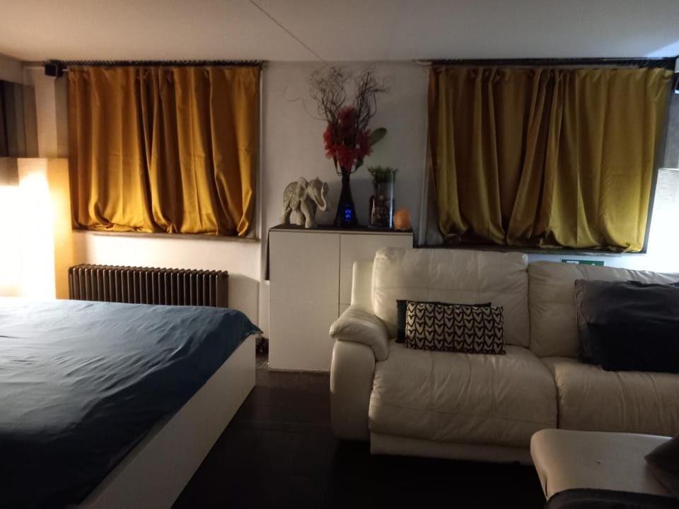 nice and cosy place with jacuzzi and sauna to relax in the centre of antwerp Apartment in Antwerp